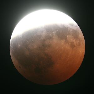 88378857regifilteredlimuc4